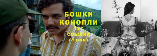 spice Алексеевка