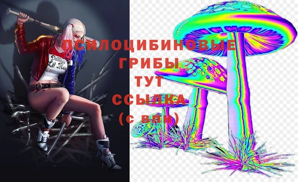 таблы Покачи